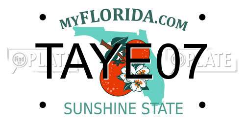 TAYE07 Florida License Plate