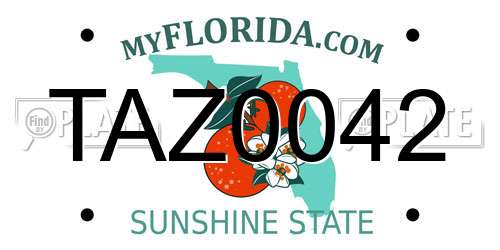 TAZ0042 Florida License Plate
