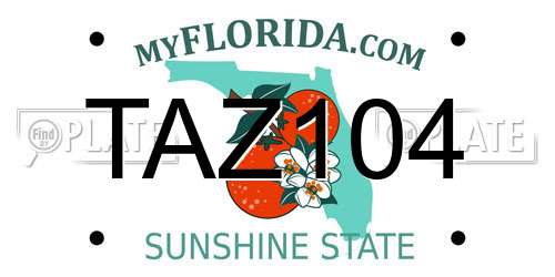 TAZ104 Florida License Plate