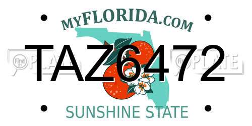 TAZ6472 Florida License Plate