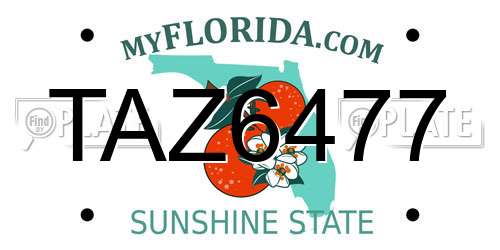 TAZ6477 Florida License Plate