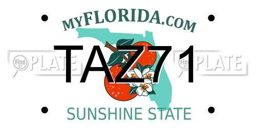 TAZ71 Florida License Plate