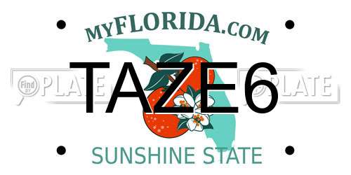 TAZE6 Florida License Plate
