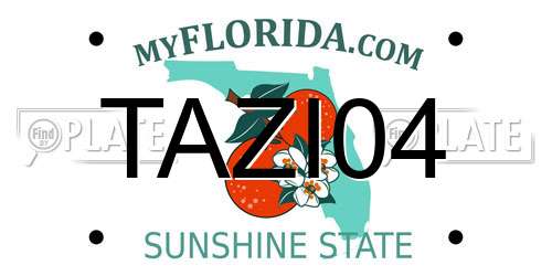 TAZI04 Florida License Plate
