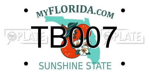 TB007 Florida License Plate