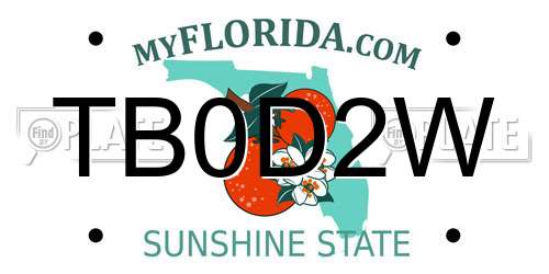 TB0D2W Florida License Plate
