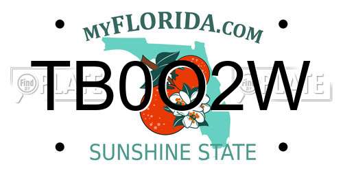 TB0O2W Florida License Plate