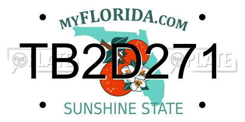 TB2D271 Florida License Plate