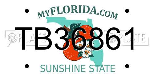 TB36861 Florida License Plate