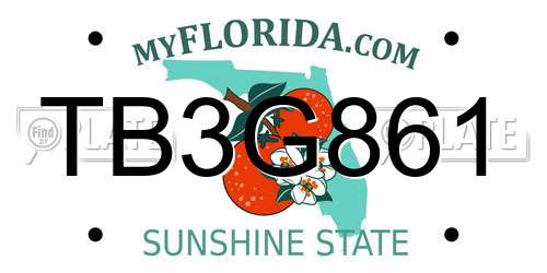 TB3G861 Florida License Plate