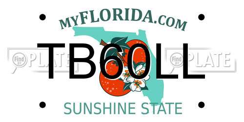 TB60LL Florida License Plate