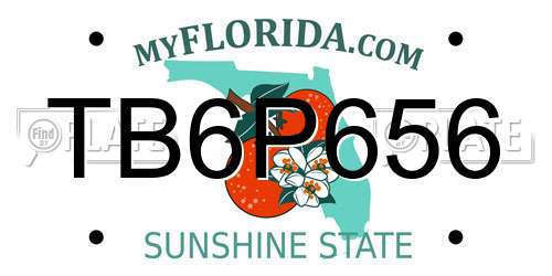 TB6P656 Florida License Plate