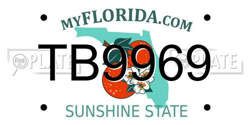 TB9969 Florida License Plate