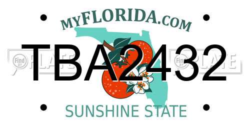 TBA2432 Florida License Plate