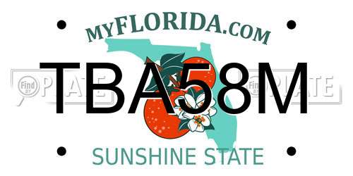 TBA58M Florida License Plate