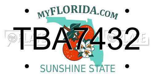 TBA7432 Florida License Plate