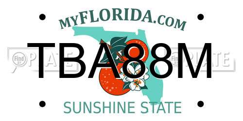 TBA88M Florida License Plate