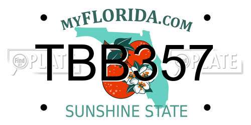 TBB357 Florida License Plate
