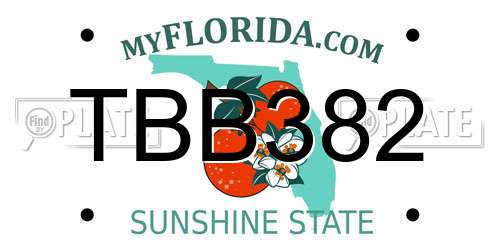 TBB382 Florida License Plate