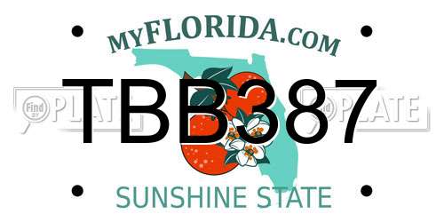TBB387 Florida License Plate