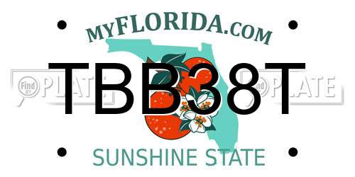 TBB38T Florida License Plate