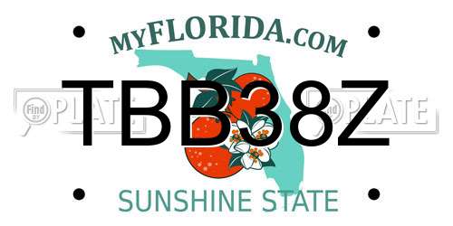 TBB38Z Florida License Plate