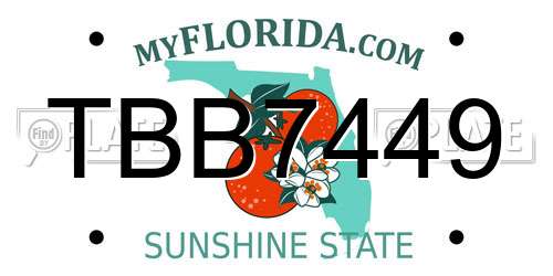 TBB7449 Florida License Plate