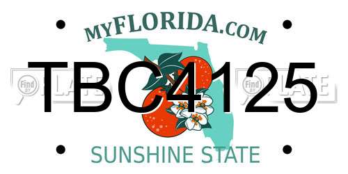 TBC4125 Florida License Plate