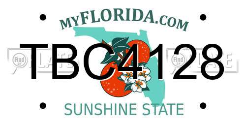 TBC4128 Florida License Plate