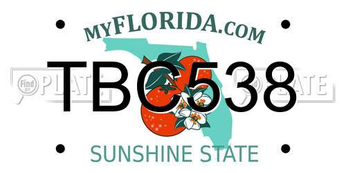 TBC538 Florida License Plate