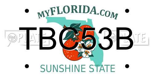 TBC53B Florida License Plate