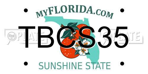 TBCS35 Florida License Plate