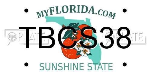 TBCS38 Florida License Plate