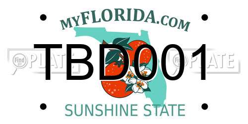 TBD001 Florida License Plate
