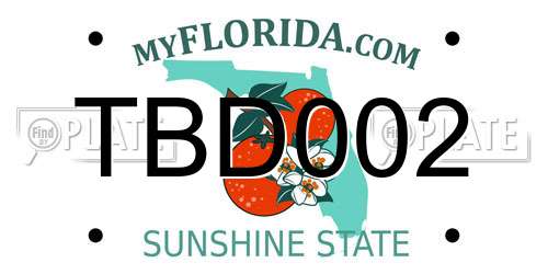 TBD002 Florida License Plate