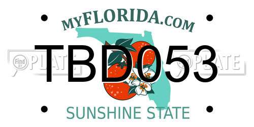 TBD053 Florida License Plate