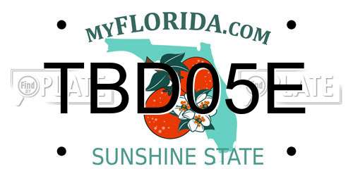 TBD05E Florida License Plate