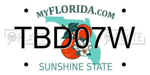 TBD07W Florida License Plate