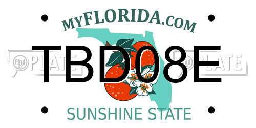 TBD08E Florida License Plate