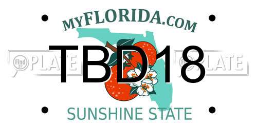 TBD18 Florida License Plate
