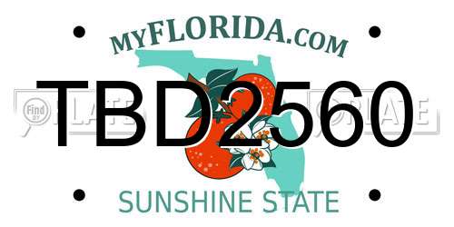 TBD2560 Florida License Plate