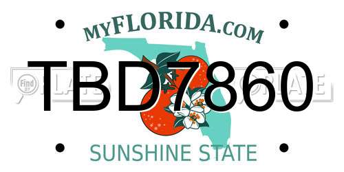 TBD7860 Florida License Plate