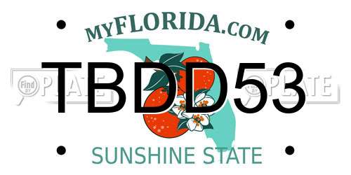TBDD53 Florida License Plate