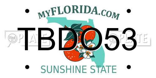 TBDO53 Florida License Plate
