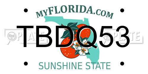 TBDQ53 Florida License Plate