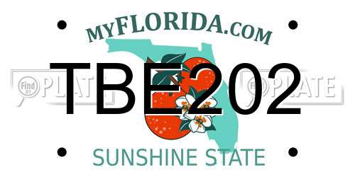 TBE202 Florida License Plate