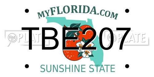 TBE207 Florida License Plate