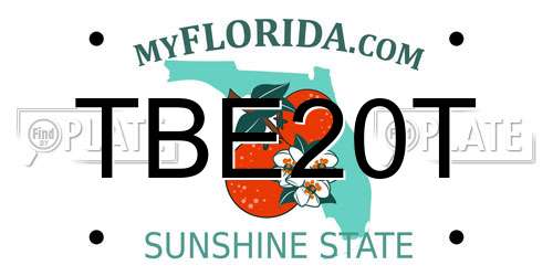 TBE20T Florida License Plate