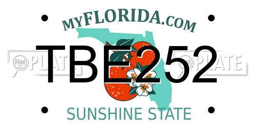 TBE252 Florida License Plate