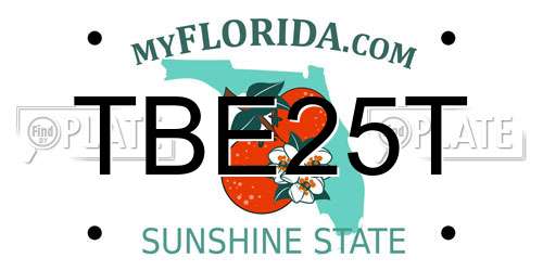 TBE25T Florida License Plate